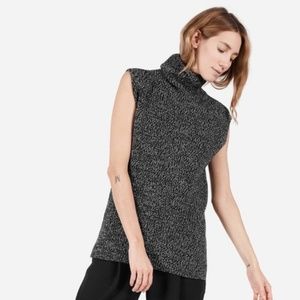 Everlane Chunky Wool Sleeveless Turtleneck Sweater